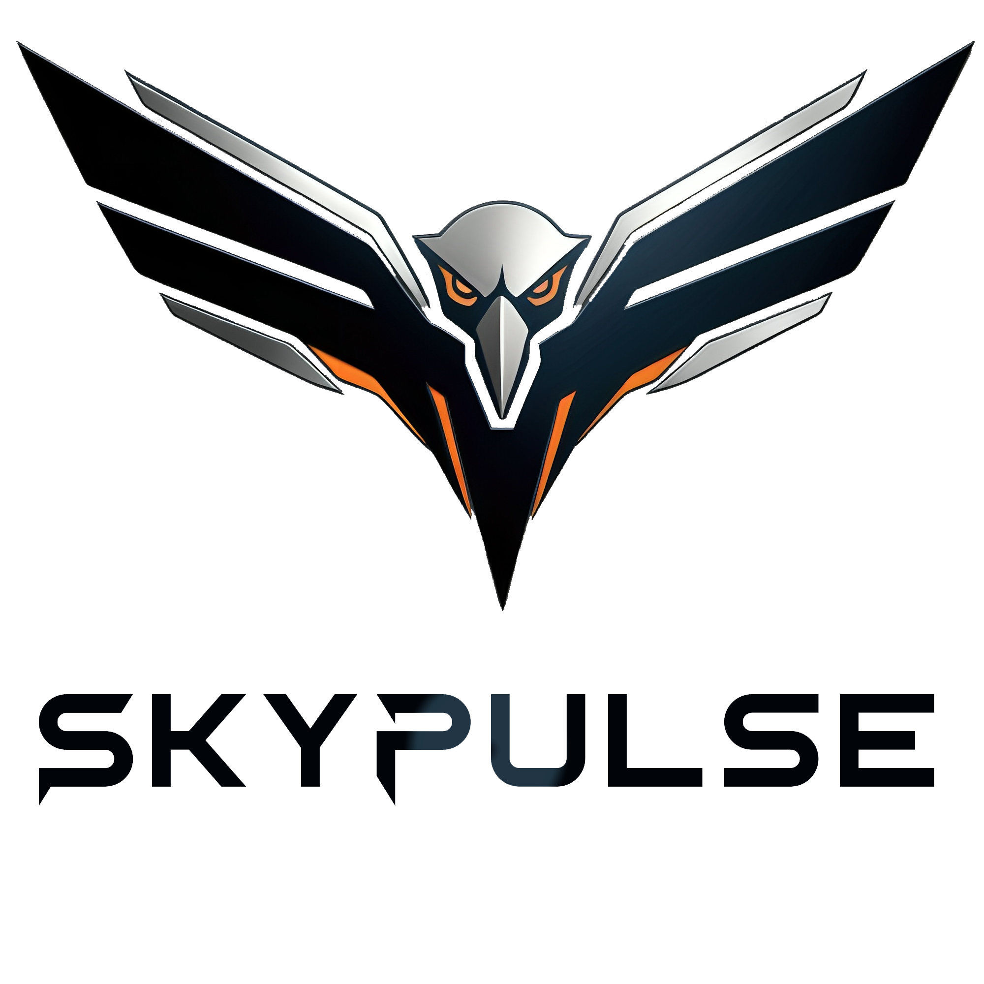 SkyPulse Core Team