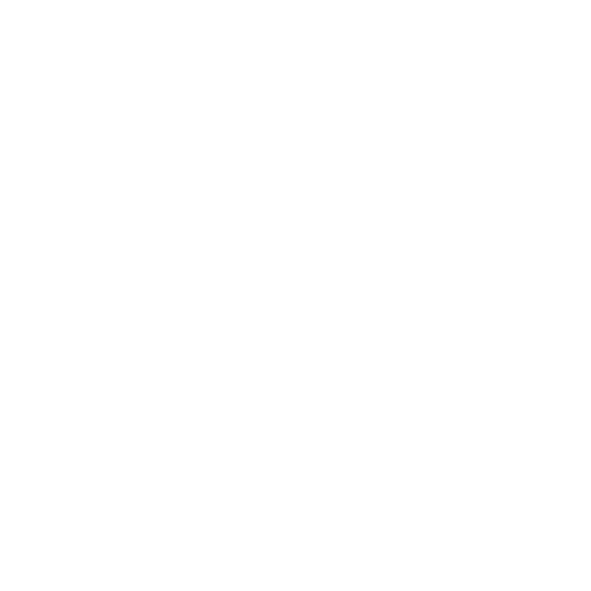 SkyPulse Aerospace